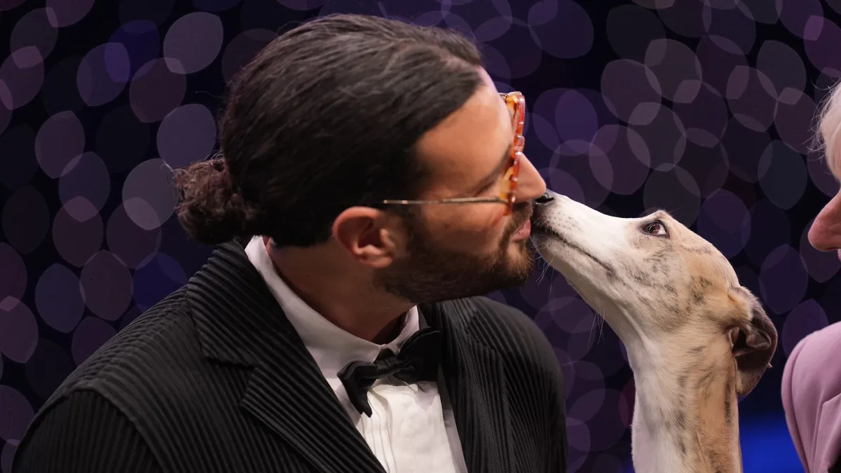 crufts 2026 schedule — GB news