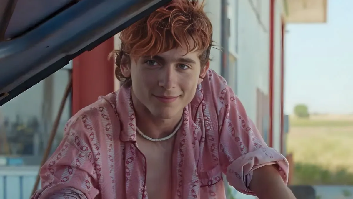 did timothee chalamet win an oscar — GB news