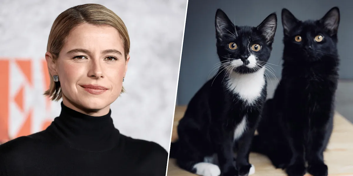 jessie buckley husband — GB news