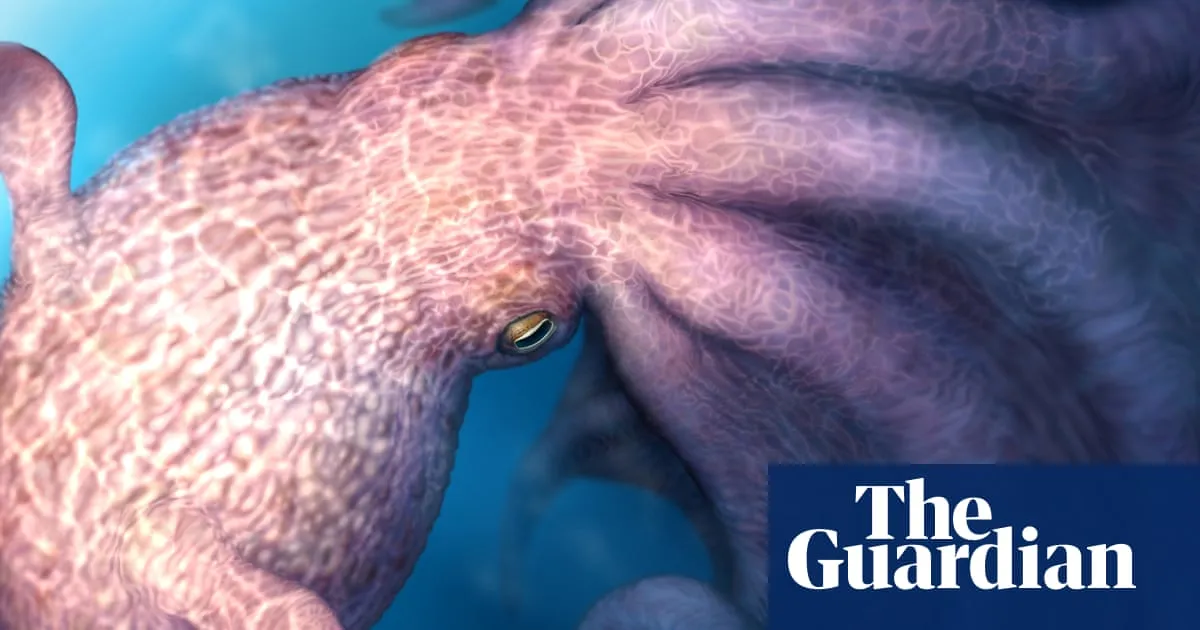 giant octopus — GB news